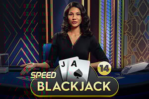 Speed Blackjack 14 game icon