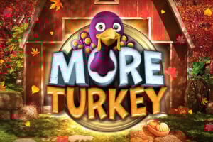 More Turkey game icon