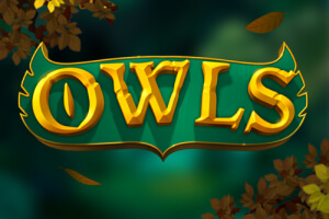 Owls game icon