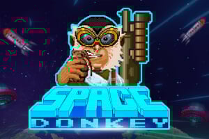 Space Donkey