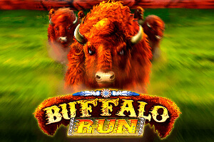 Buffalo Run game icon