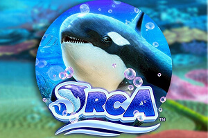 Orca game icon
