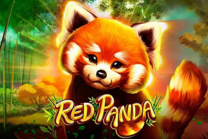 Red Panda game icon