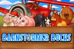 Barnstormer Bucks