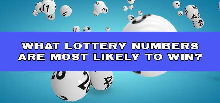 lottery numbers to win
