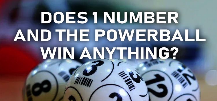US Powerball Lottery Explained: Does 1 Number and the Powerball Win Anything?